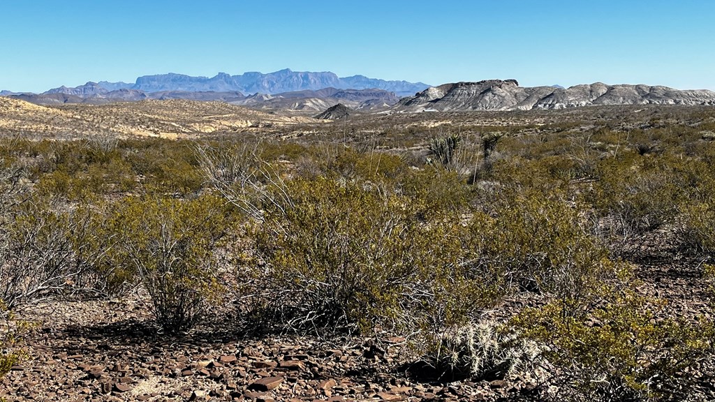 0000 Fellers Road, Terlingua, Texas image 2