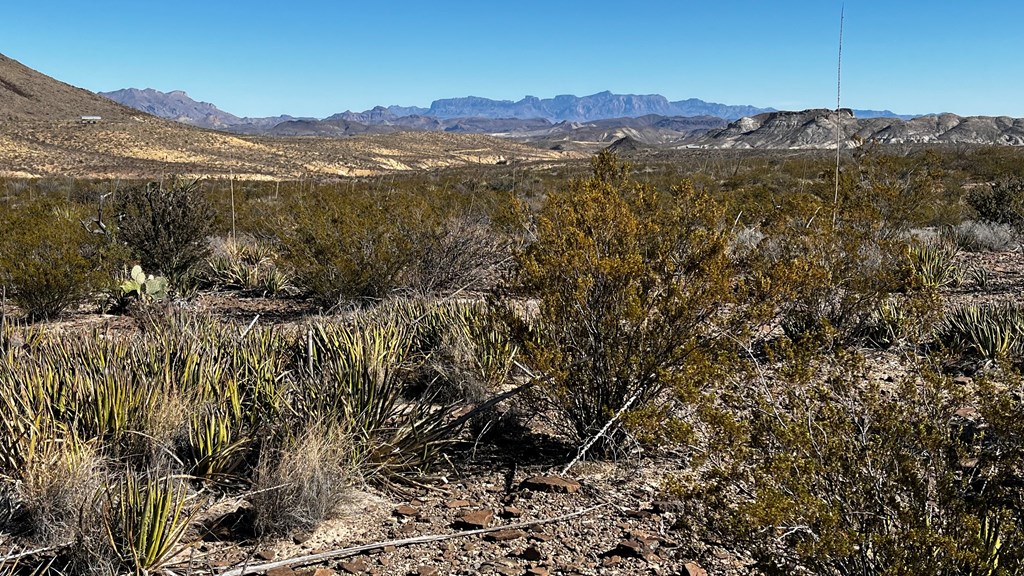 0000 Fellers Road, Terlingua, Texas image 4