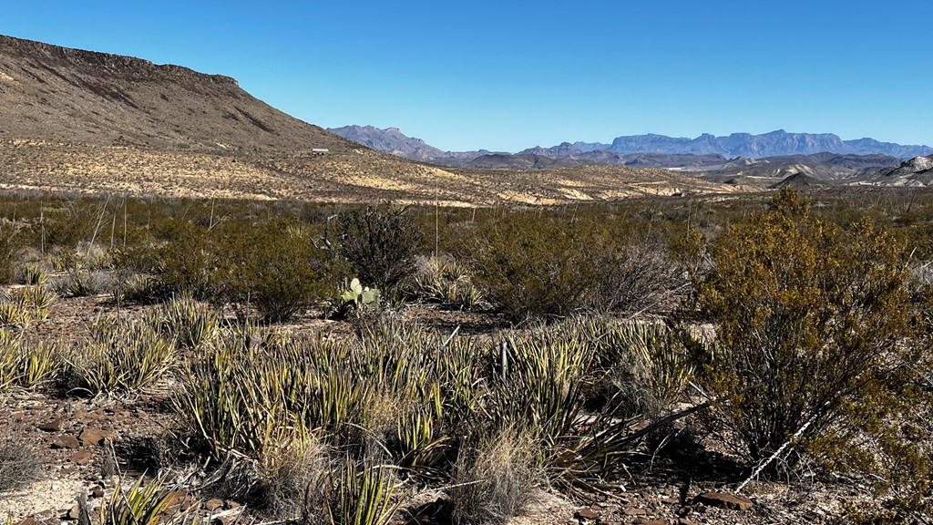 0000 Fellers Road, Terlingua, Texas image 3