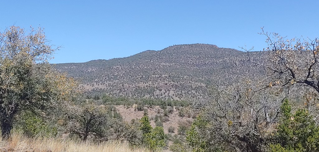 114 High Meadow Trail, Fort Davis, Texas image 8