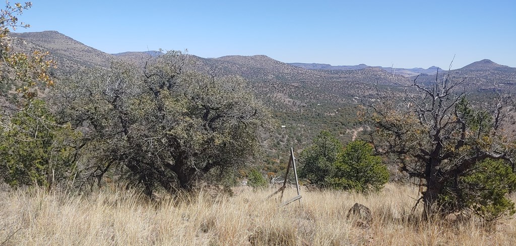 114 High Meadow Trail, Fort Davis, Texas image 3