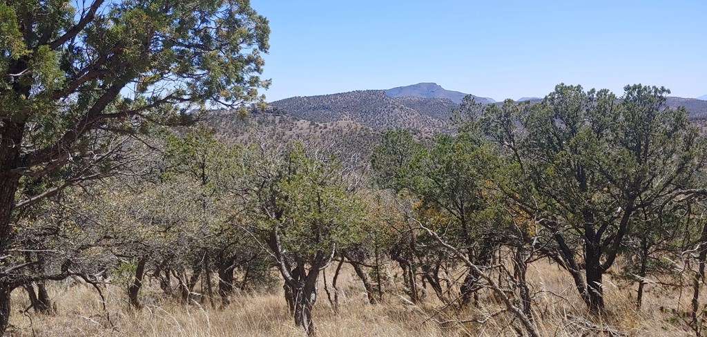 114 High Meadow Trail, Fort Davis, Texas image 26