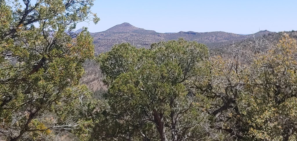 114 High Meadow Trail, Fort Davis, Texas image 7