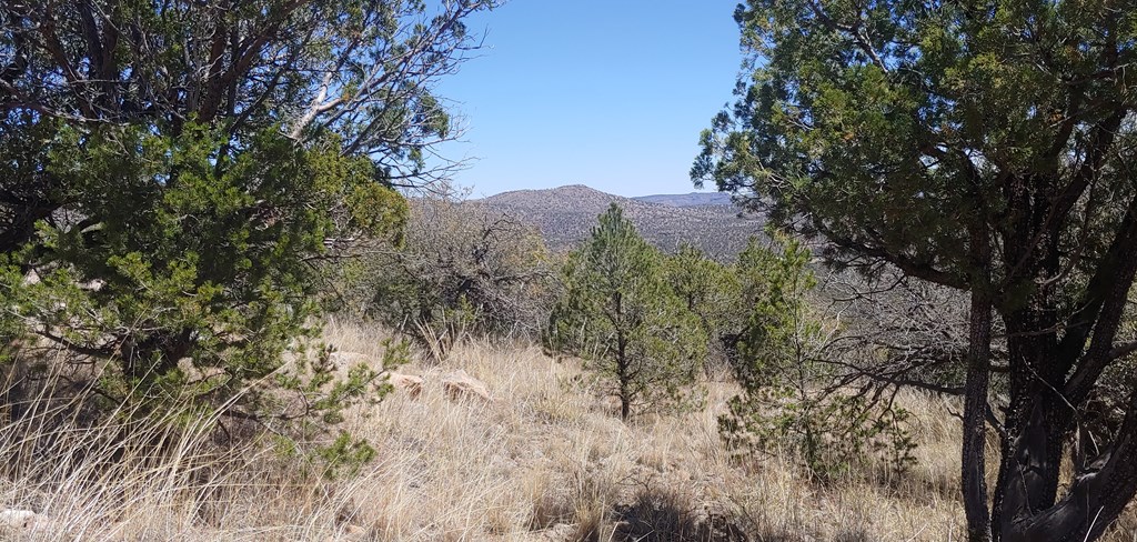 114 High Meadow Trail, Fort Davis, Texas image 25