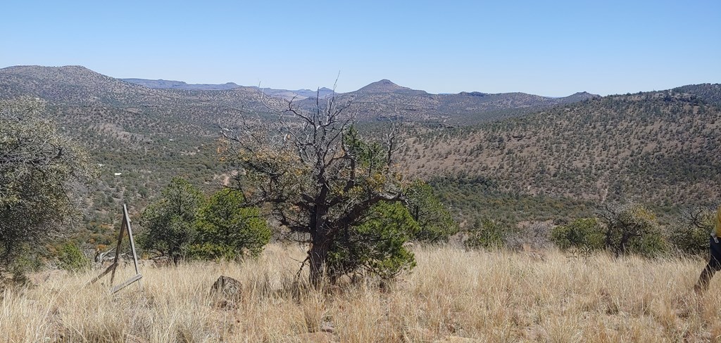 114 High Meadow Trail, Fort Davis, Texas image 2