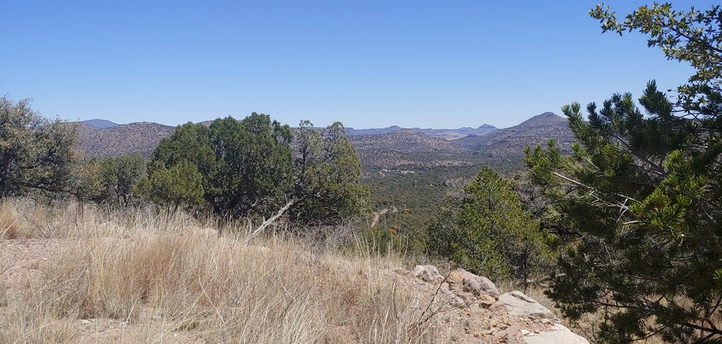 114 High Meadow Trail, Fort Davis, Texas image 23