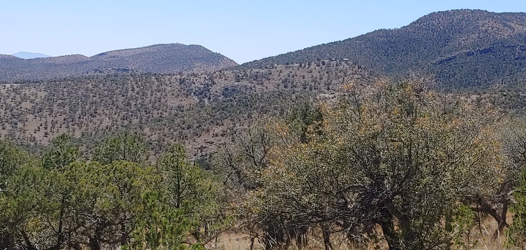 114 High Meadow Trail, Fort Davis, Texas image 9