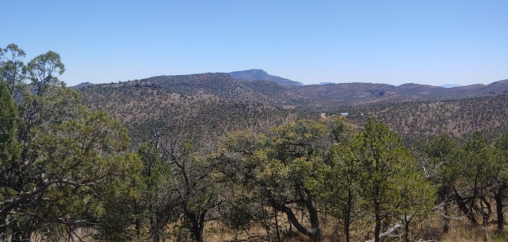 114 High Meadow Trail, Fort Davis, Texas image 15