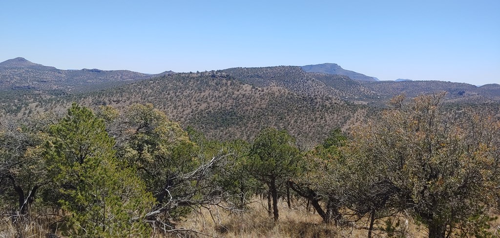 114 High Meadow Trail, Fort Davis, Texas image 20