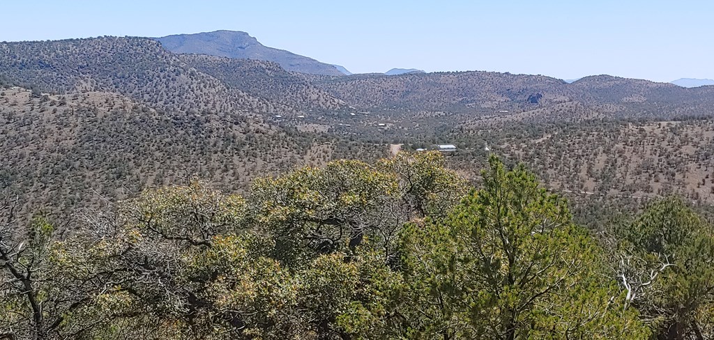 114 High Meadow Trail, Fort Davis, Texas image 10