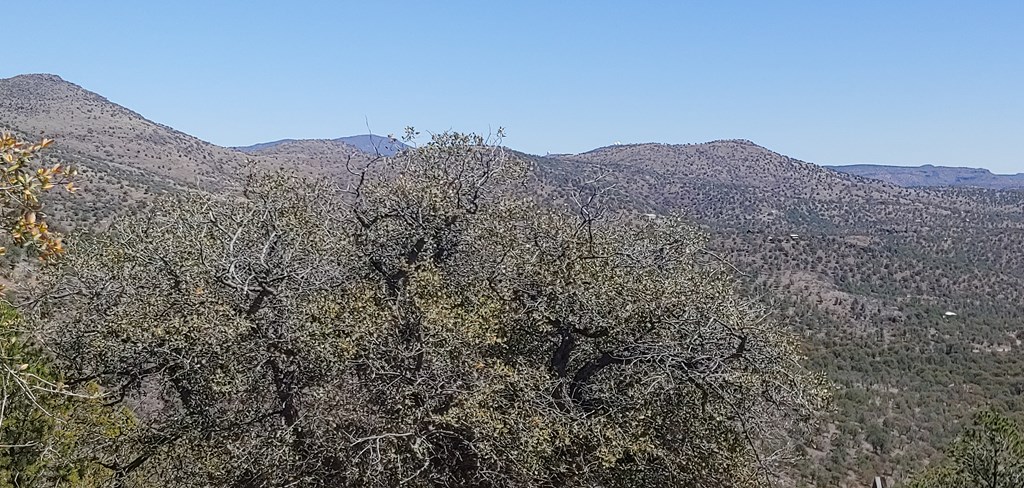 114 High Meadow Trail, Fort Davis, Texas image 5