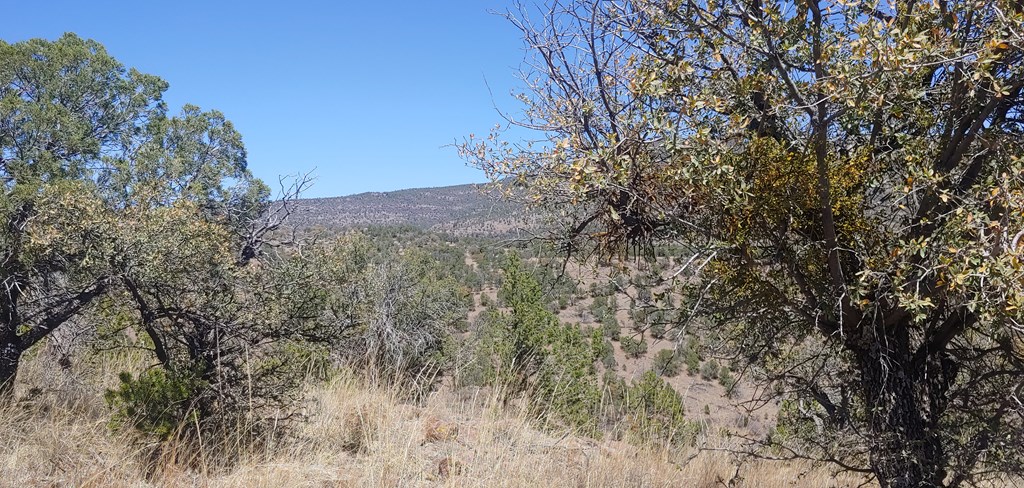 114 High Meadow Trail, Fort Davis, Texas image 4