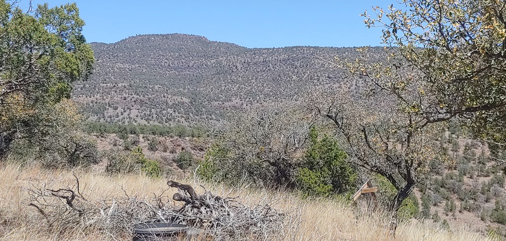 114 High Meadow Trail, Fort Davis, Texas image 12