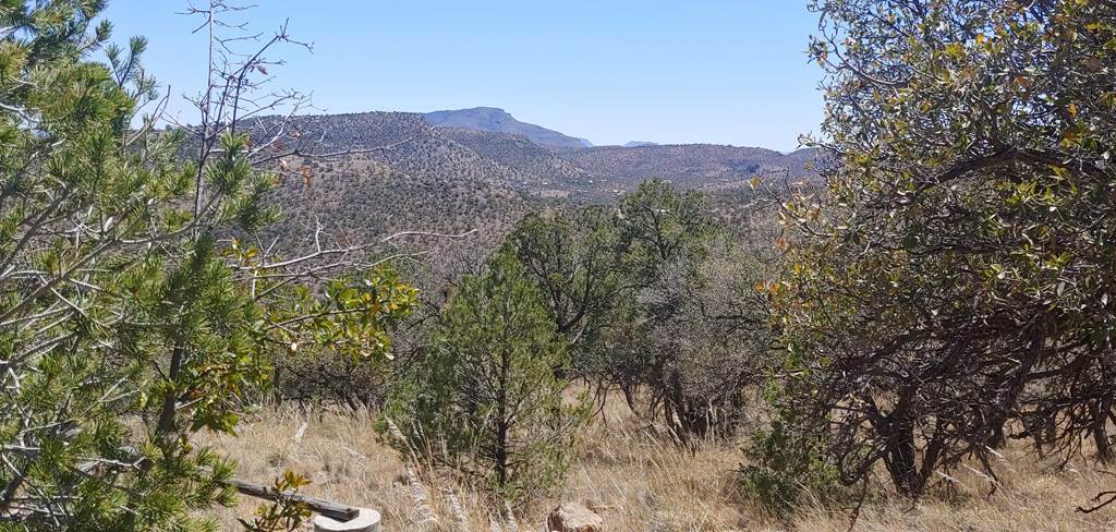 114 High Meadow Trail, Fort Davis, Texas image 24