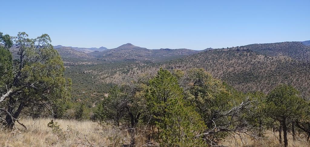 114 High Meadow Trail, Fort Davis, Texas image 1