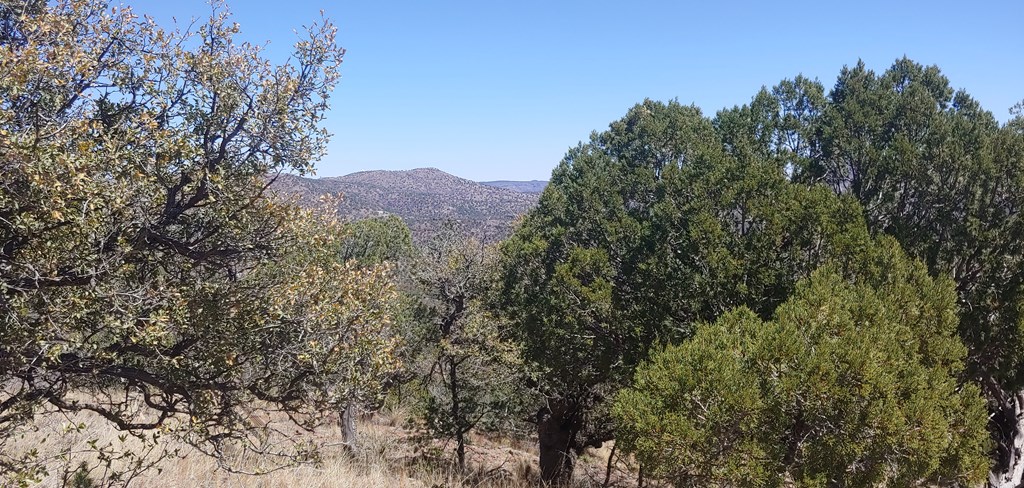 114 High Meadow Trail, Fort Davis, Texas image 13