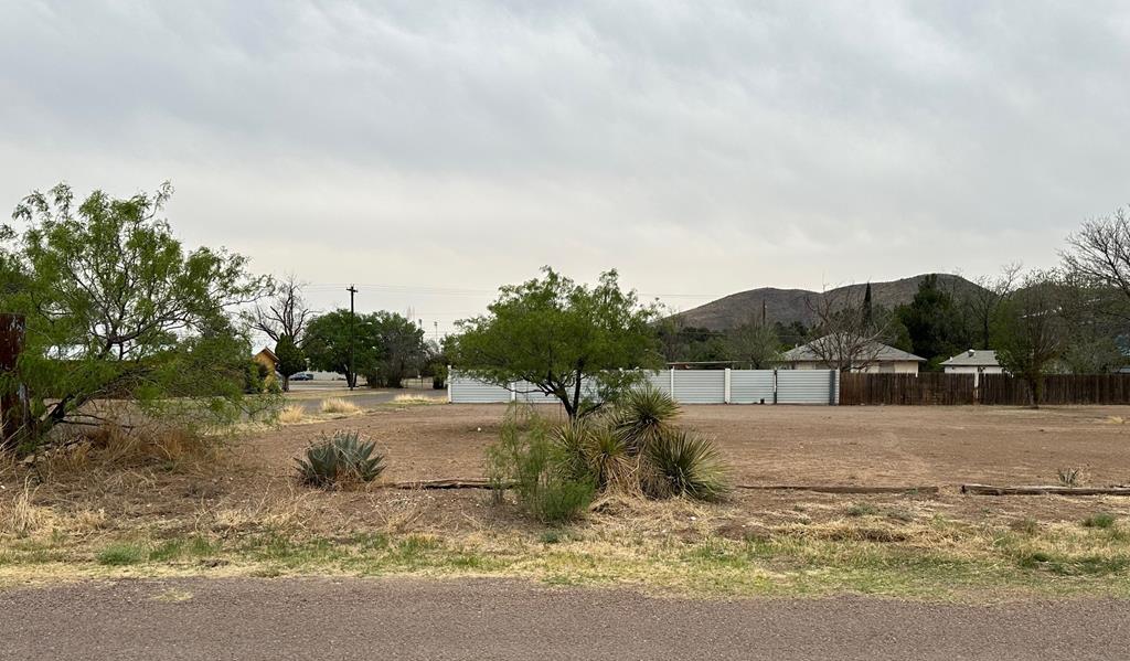 1508 N 6th St, Alpine, Texas image 1