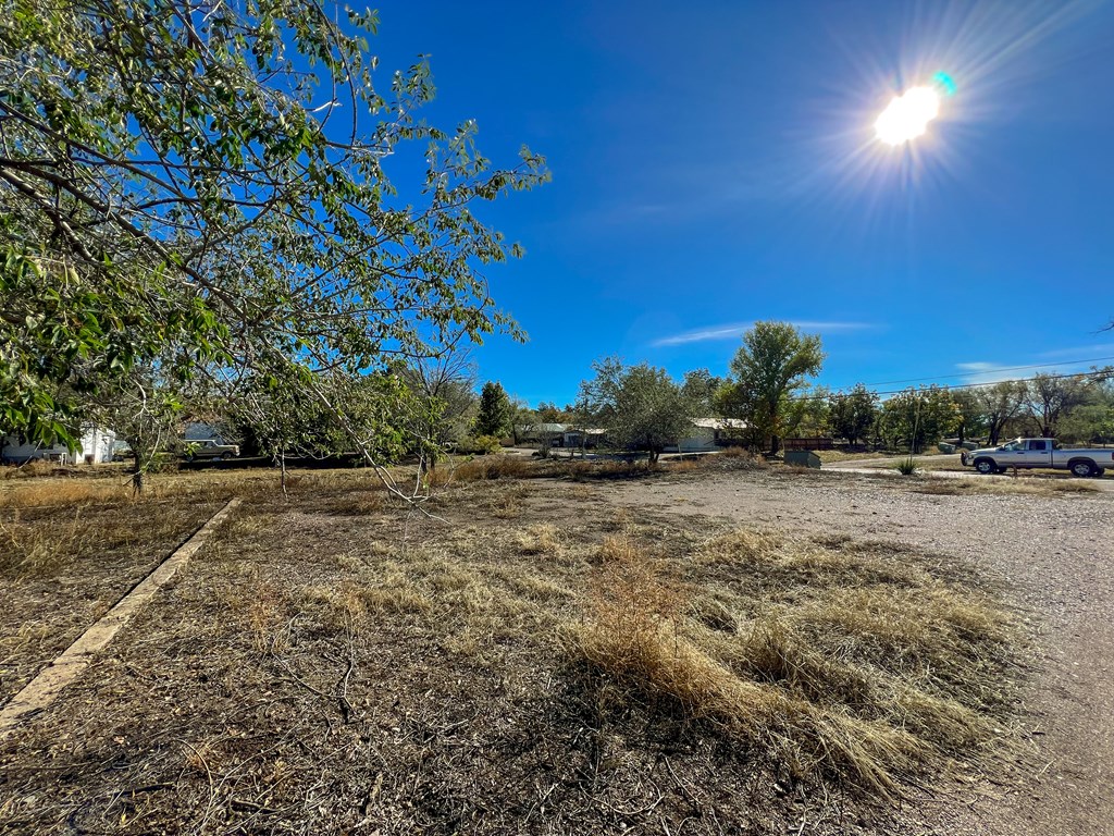 505 E Ave B Way, Alpine, Texas image 7