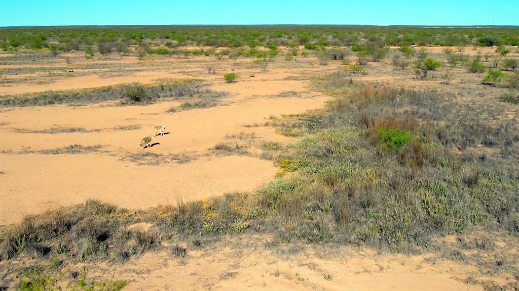 TBD County Rd 124, Pecos, Texas image 4