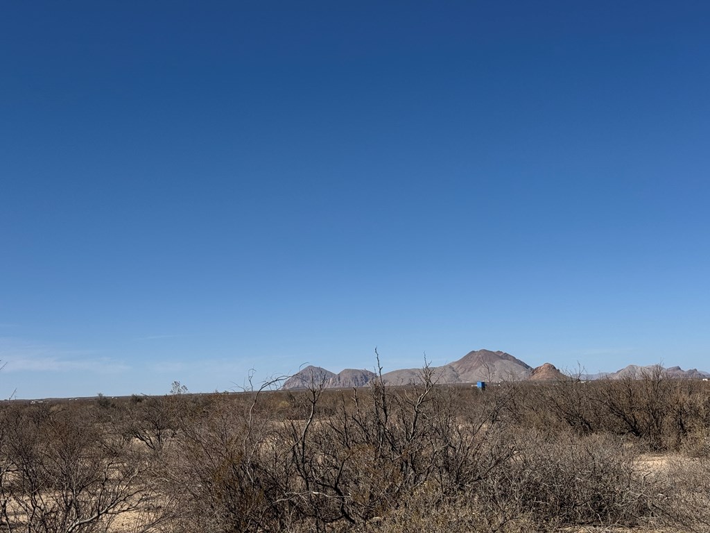NC 400 Private Rd, Terlingua, Texas image 6