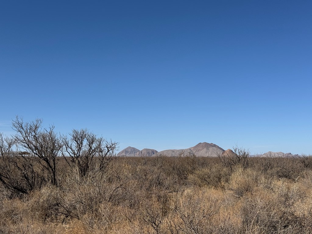 NC 400 Private Rd, Terlingua, Texas image 5
