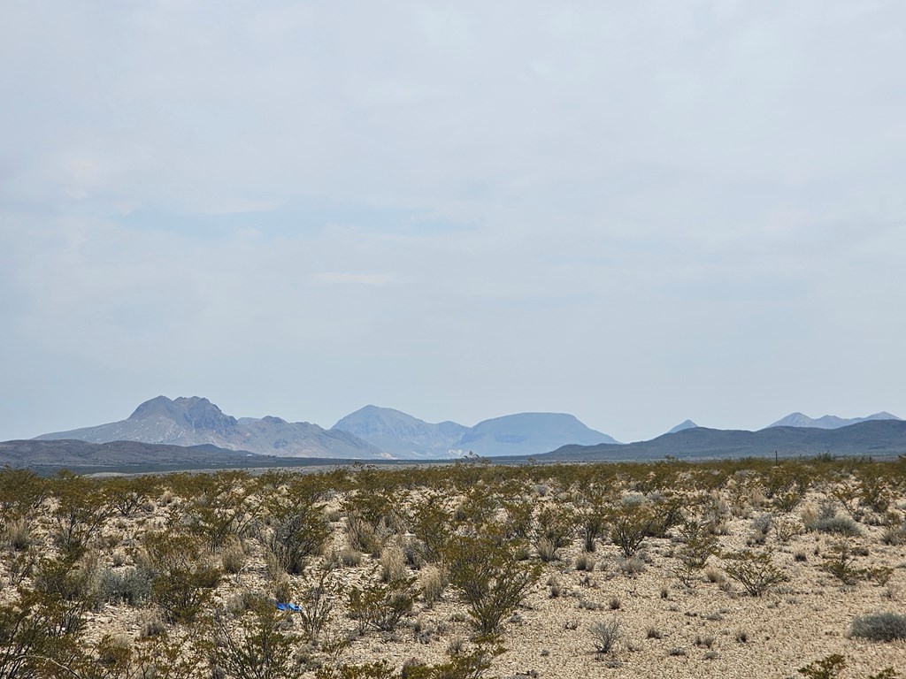 G116 Bad Bunny Rd, Terlingua, Texas image 7