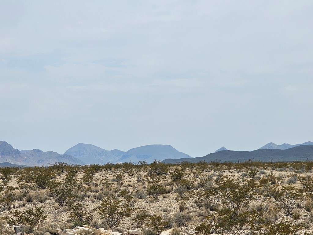 G116 Bad Bunny Rd, Terlingua, Texas image 31