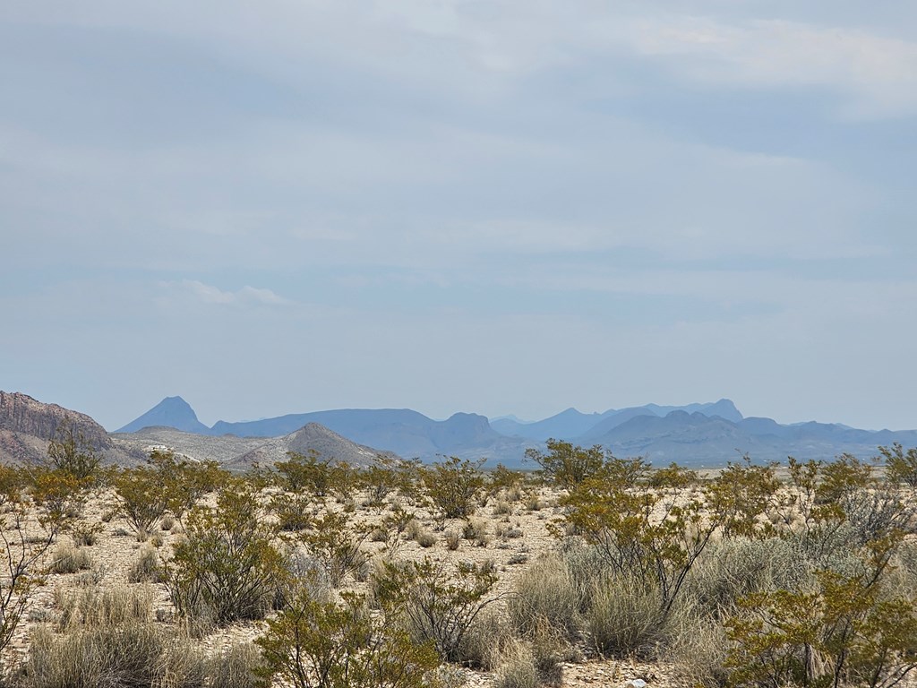 G116 Bad Bunny Rd, Terlingua, Texas image 10