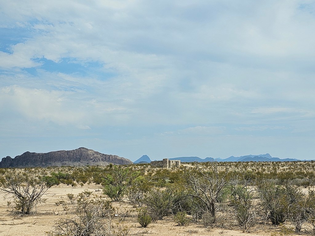 G116 Bad Bunny Rd, Terlingua, Texas image 32