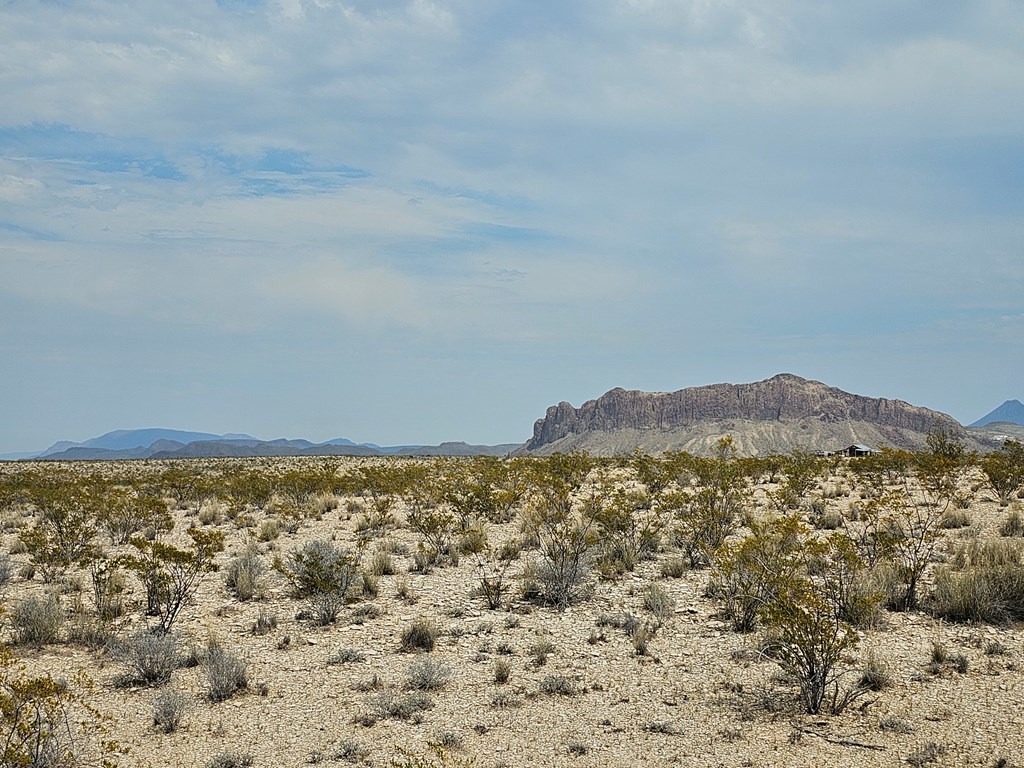 G116 Bad Bunny Rd, Terlingua, Texas image 12