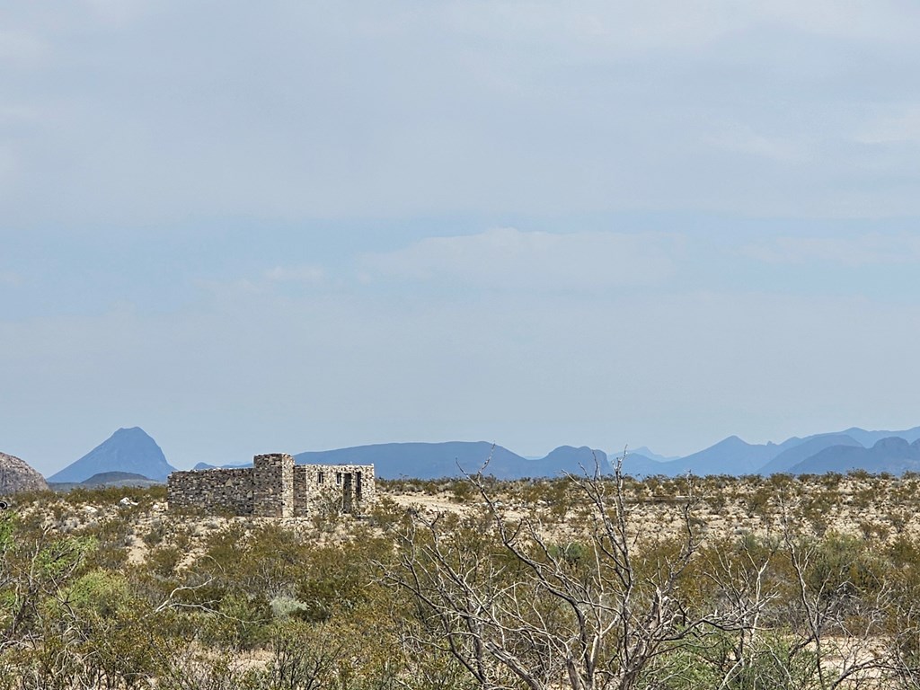 G116 Bad Bunny Rd, Terlingua, Texas image 29