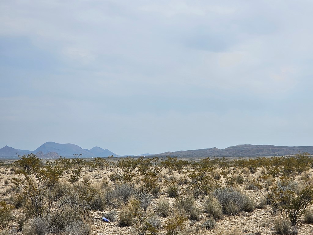 G116 Bad Bunny Rd, Terlingua, Texas image 9