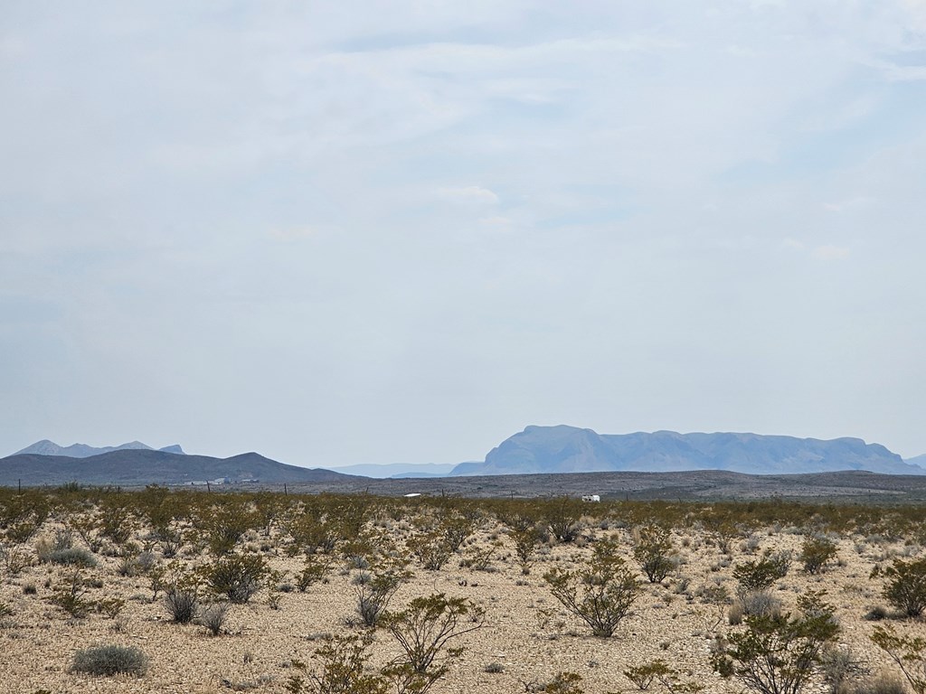 G116 Bad Bunny Rd, Terlingua, Texas image 8