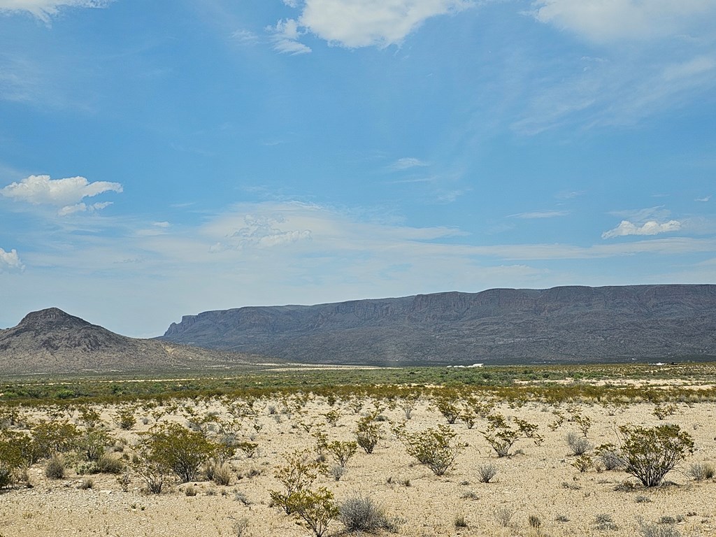 G116 Bad Bunny Rd, Terlingua, Texas image 11