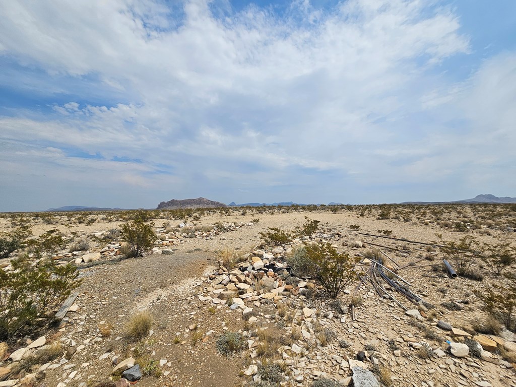 G116 Bad Bunny Rd, Terlingua, Texas image 33