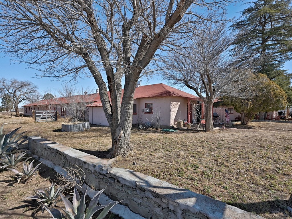 705 W Bonnie St, Marfa, Texas image 21