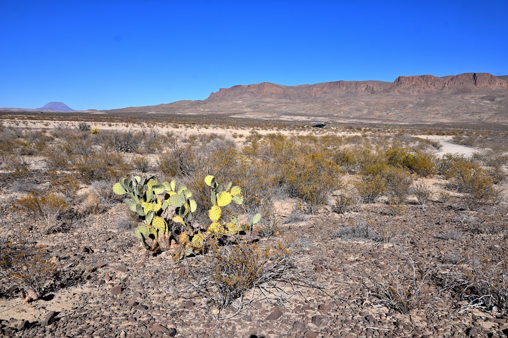 5216 Black Hill Rd, Terlingua, Texas image 17