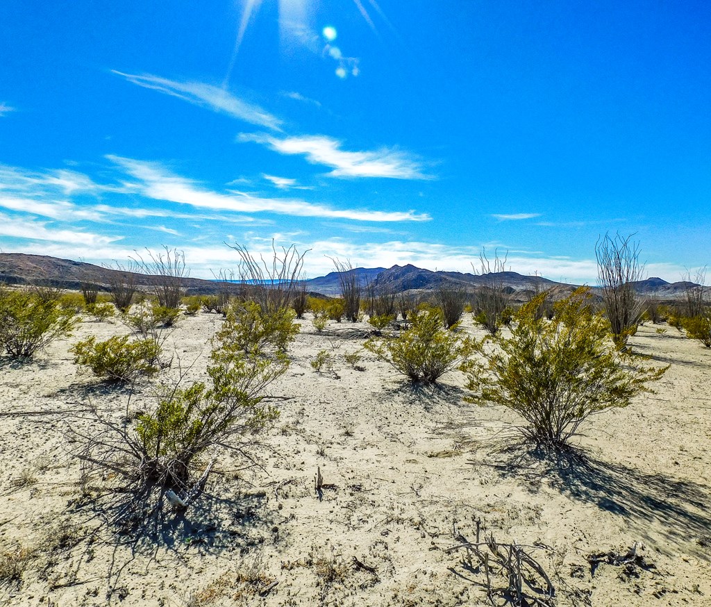 Tract 6 Dark Canyon Loop, Terlingua, Texas image 17