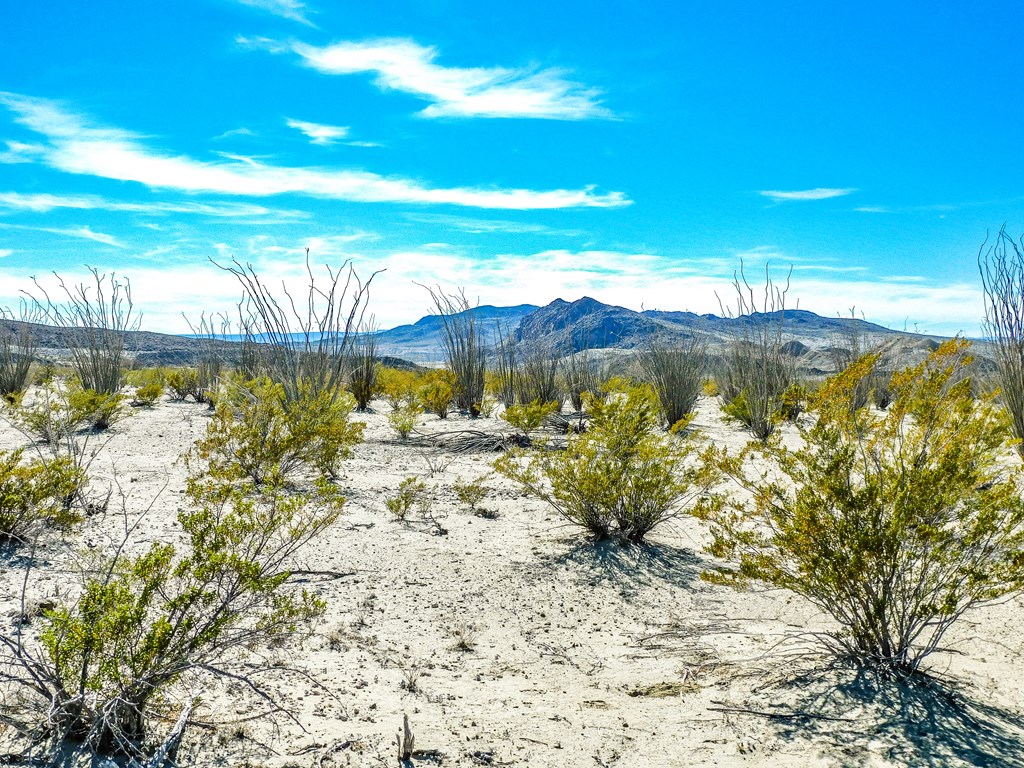 Tract 6 Dark Canyon Loop, Terlingua, Texas image 18