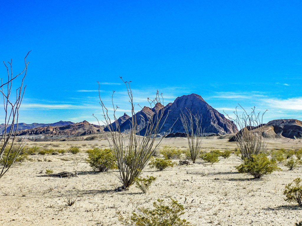 Tract 6 Dark Canyon Loop, Terlingua, Texas image 4