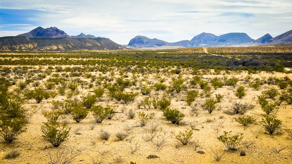 16705 Lavaca Ave, Terlingua, Texas image 8