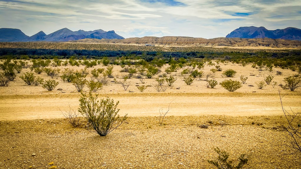 16705 Lavaca Ave, Terlingua, Texas image 5