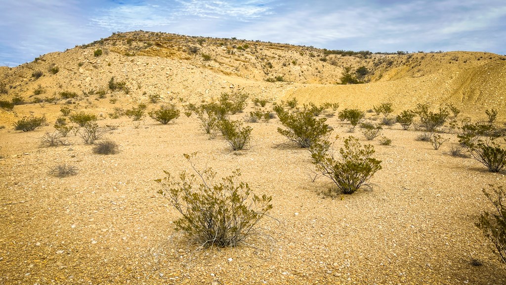 16705 Lavaca Ave, Terlingua, Texas image 2