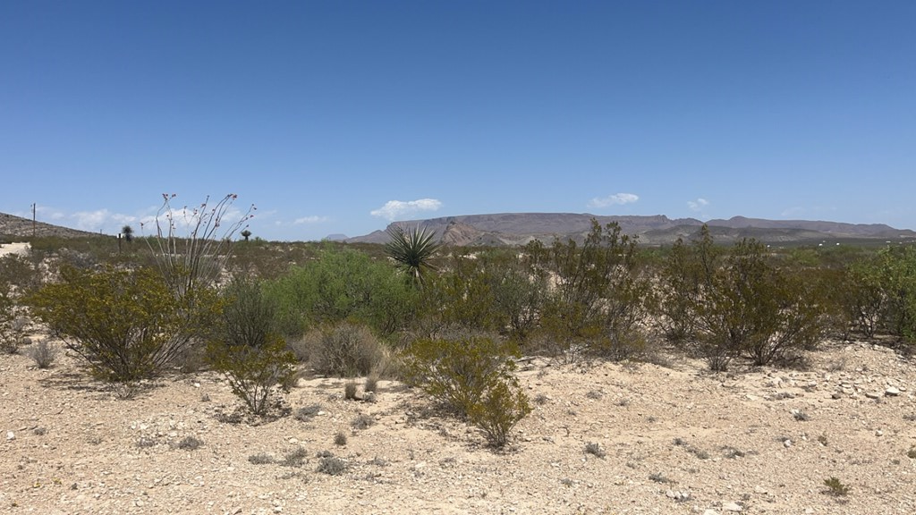 1000 Terlingua Ranch Rd, Terlingua, Texas image 13