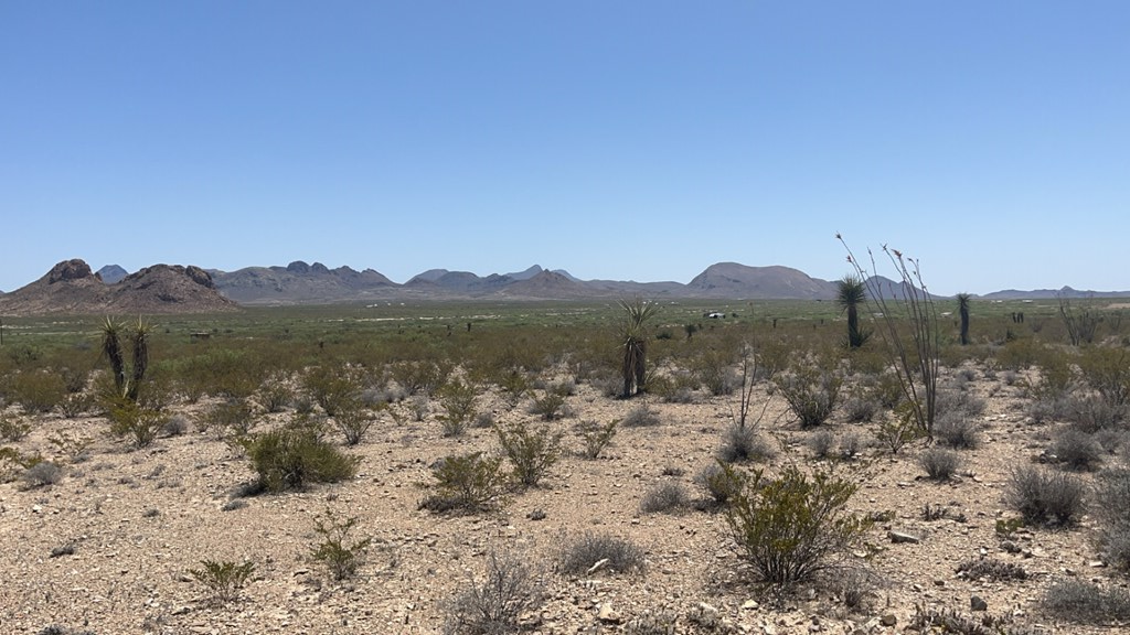 1000 Terlingua Ranch Rd, Terlingua, Texas image 22