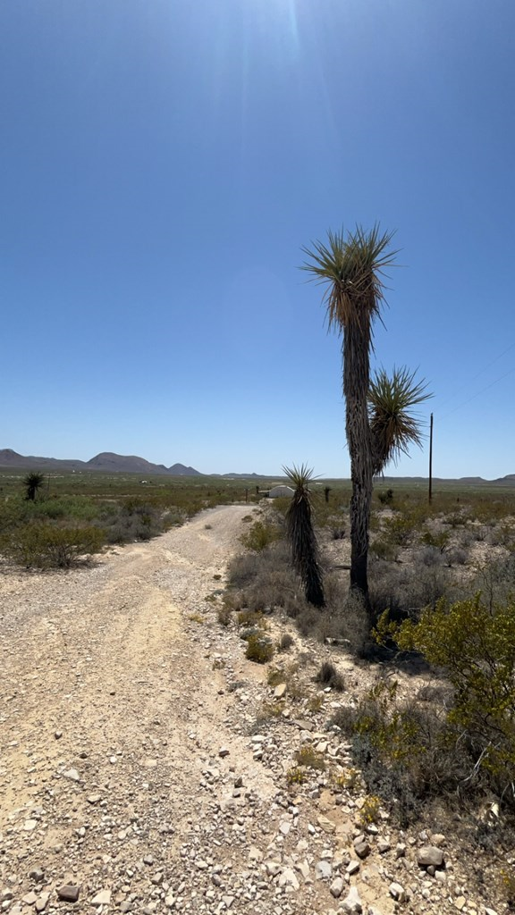 1000 Terlingua Ranch Rd, Terlingua, Texas image 16