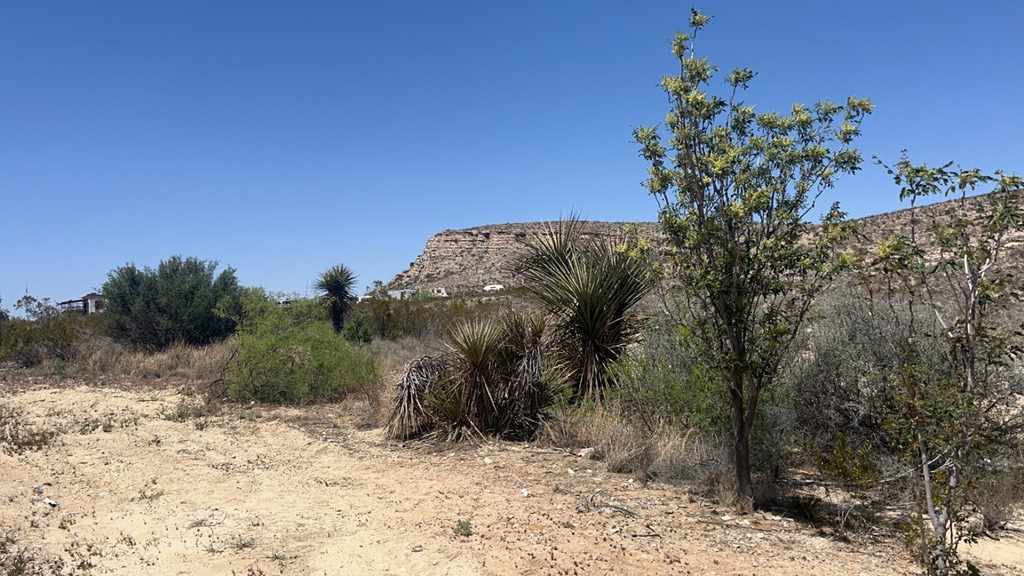 1000 Terlingua Ranch Rd, Terlingua, Texas image 20