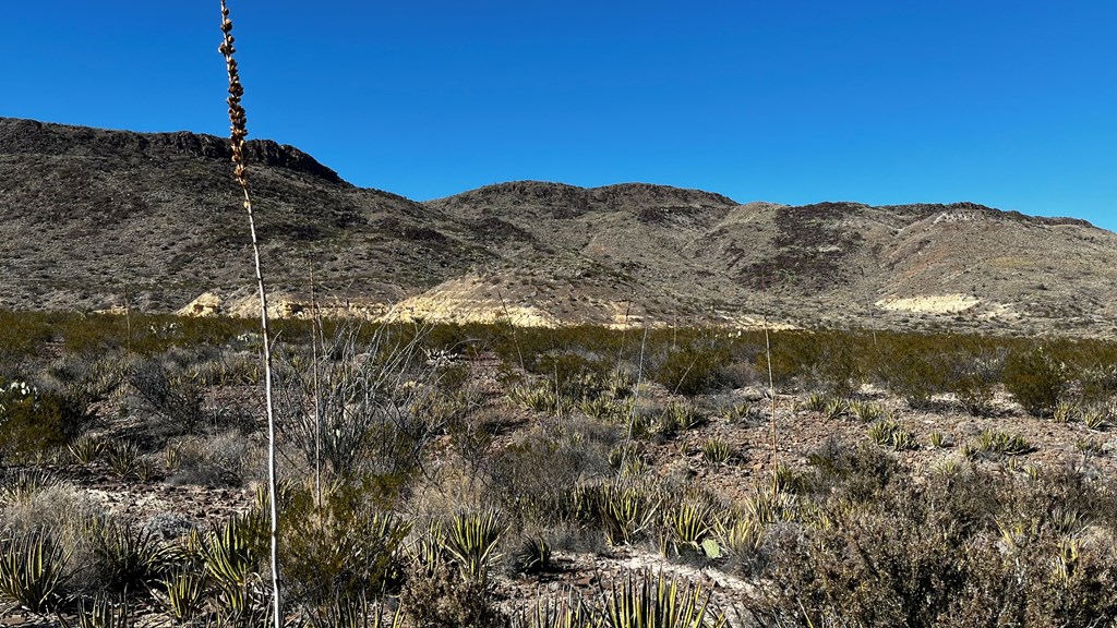 24424 Fellers Road, Terlingua, Texas image 5