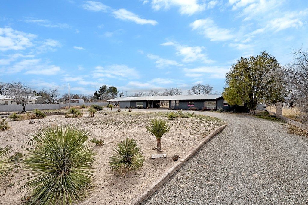 1011 W Washington St, Marfa, Texas image 7