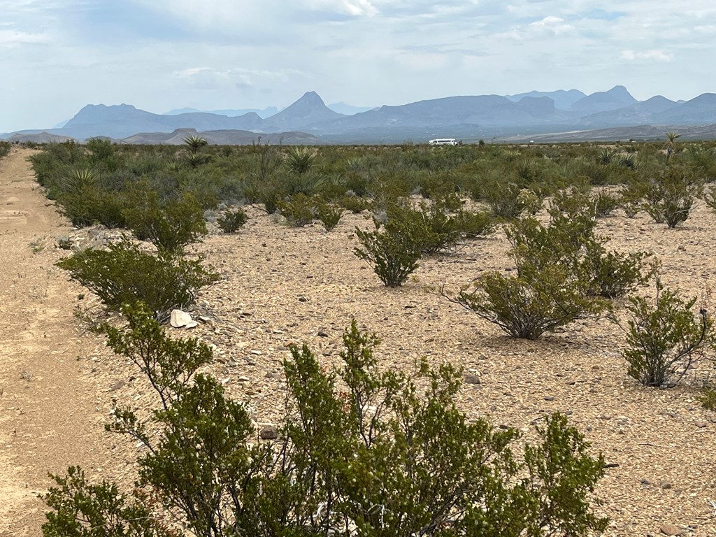 15434 Arlington St, Terlingua, Texas image 9